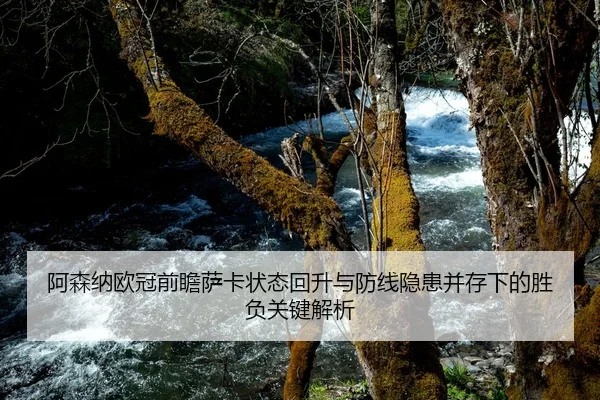 阿森纳欧冠前瞻萨卡状态回升与防线隐患并存下的胜负关键解析